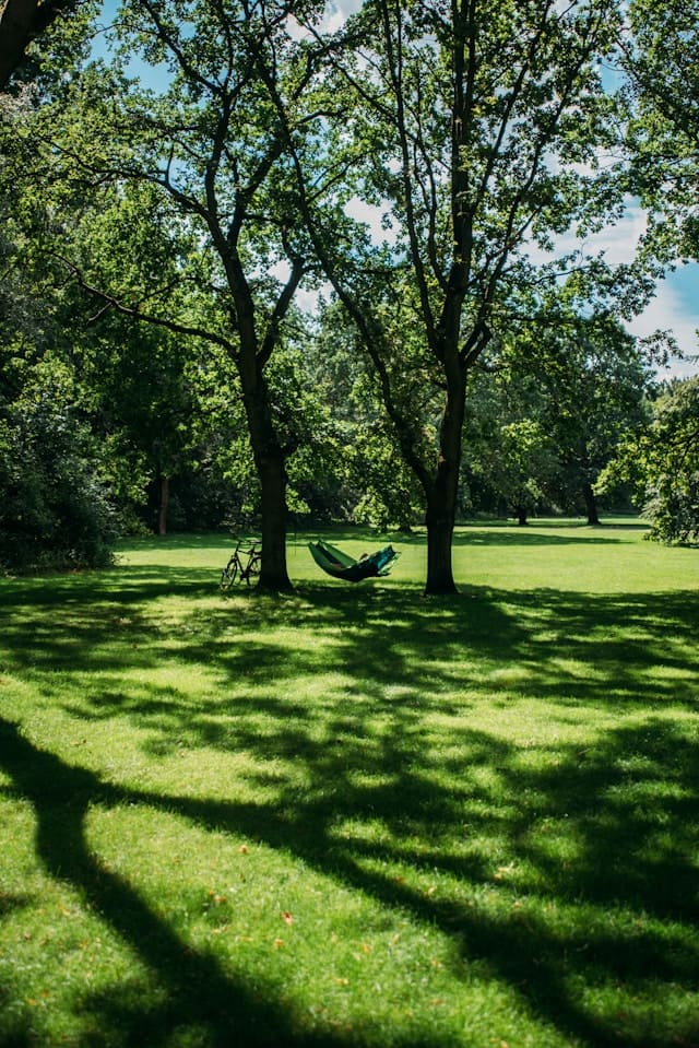 Tiergarten Park