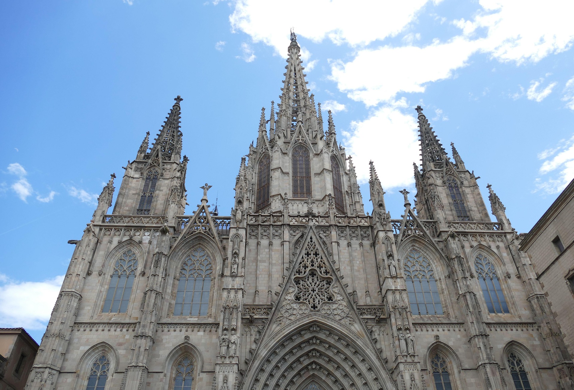 falco-barcelona-4298066_1920