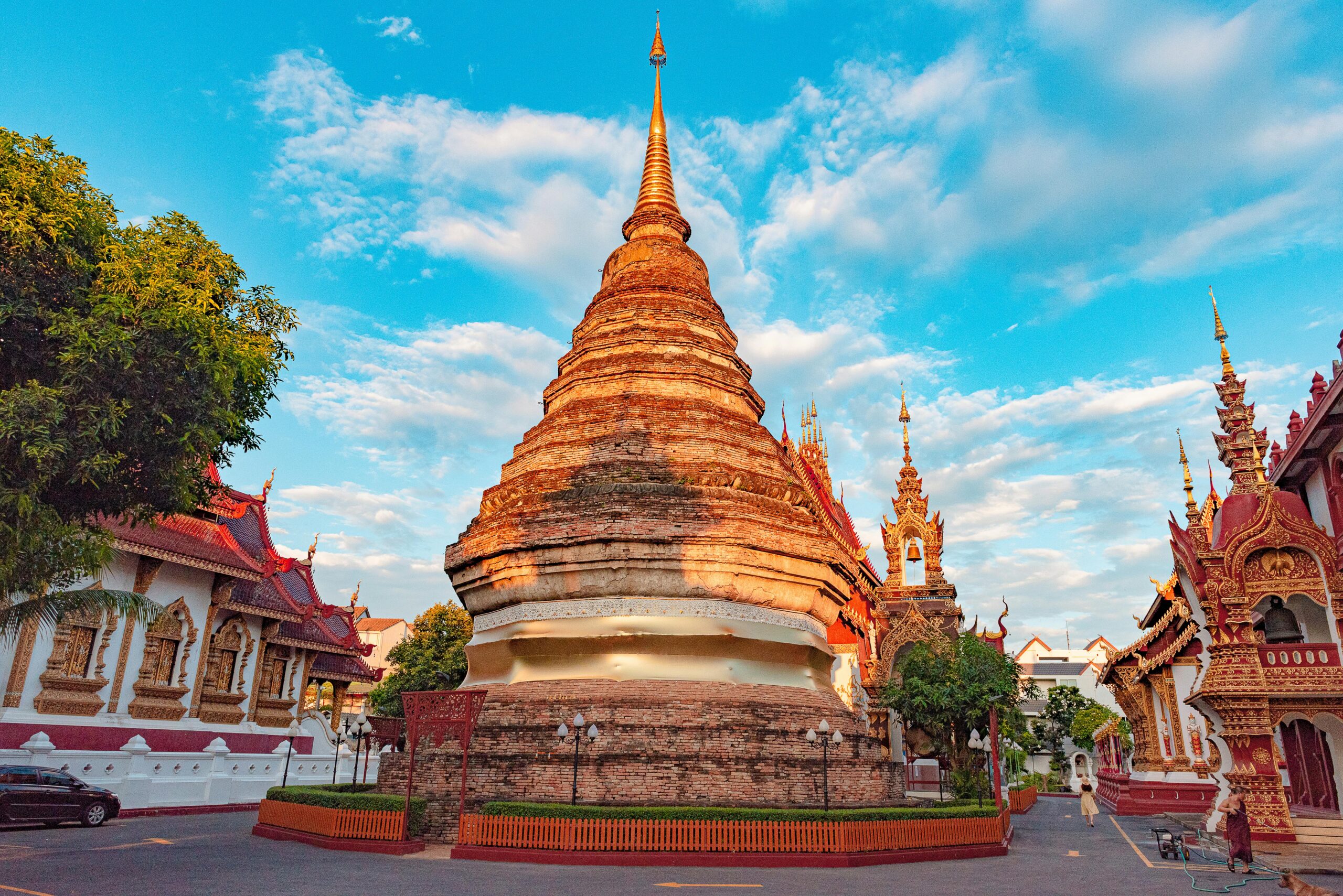 pexels-gije-16986828