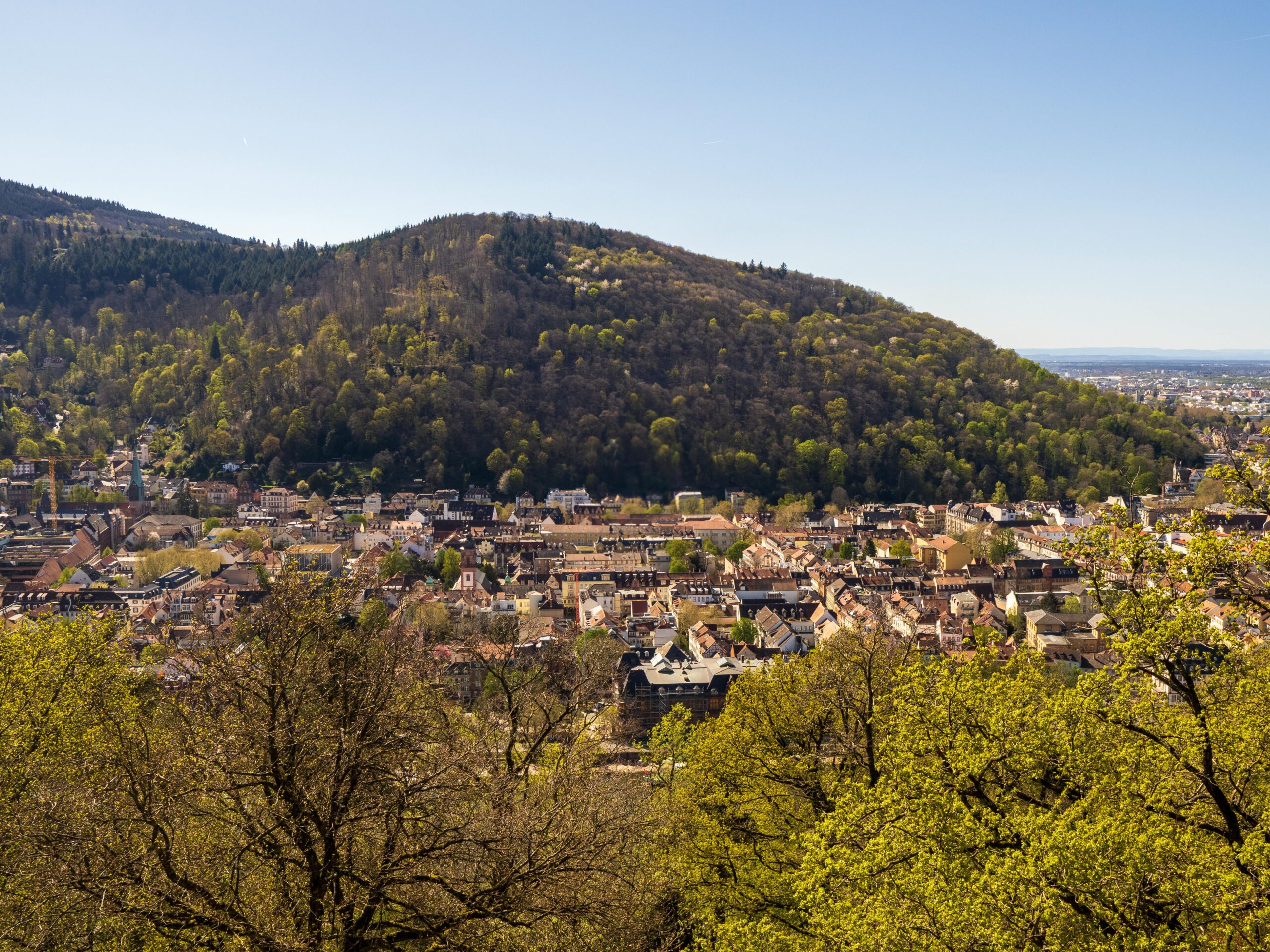 pexels-peterjochim-fotografie-31544479